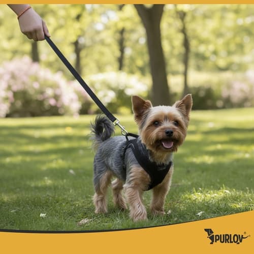 Hundesele / Sele til Hund - Trykfri - S