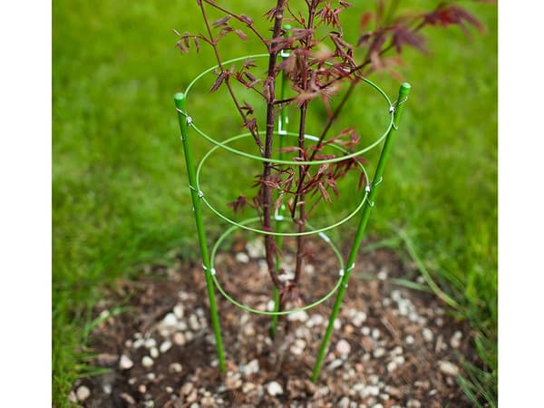Växtstöd / Spaljé - 60 cm