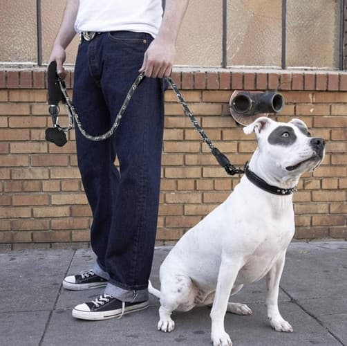 Hundkoppel med Reflex - Koppel för Hund - 5m