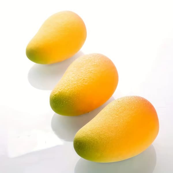 Silikoneform til desserter og chokolade - Lemon