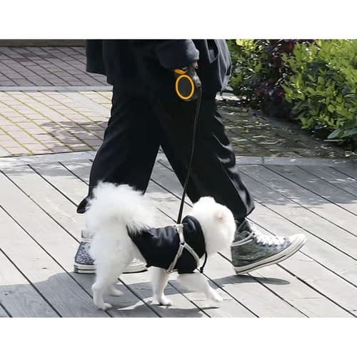 Flexibelt rullkoppel för Hund – Välj längd
