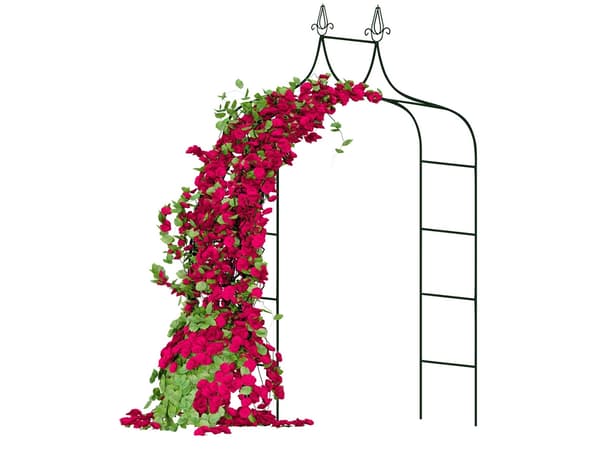 Rosenbue - Til roser og klatreplanter