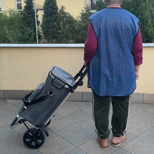 Handletralle Sammenleggbar med Veske - 40L