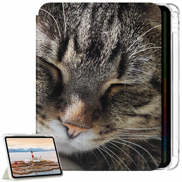 Deksel til iPad Pro 11" - M4/M5 - 2024/2025 - Sovende Katt