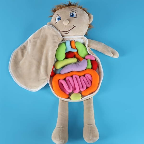 Anatomisk dukke for barn - Gutt