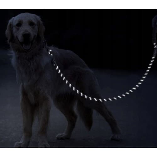Hundebånd med Refleks - Bånd til Hund - 3m