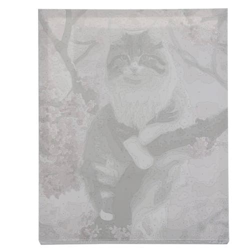 Måla Efter Nummer Kit - 40x50cm - Kattunge