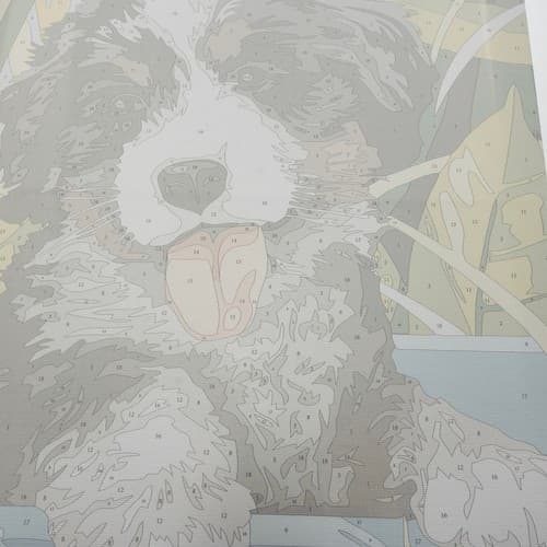 Mal Etter Nummer Kit - 40x30cm – Hund