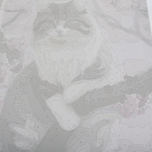 Mal Efter Tal Kit - 40x50cm – Killing