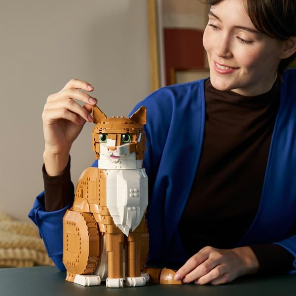 LEGO Ideas Orange katt 21376