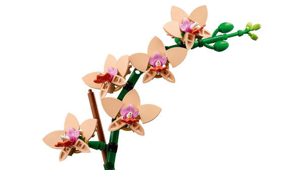 LEGO Botanicals Miniorkidé 10343
