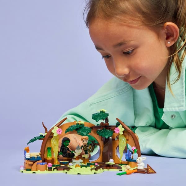 LEGO Wicked Elphabas retreat 75687