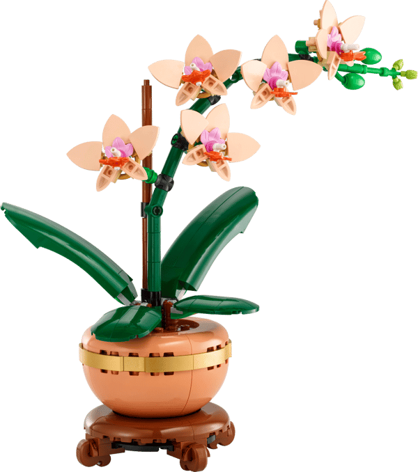 LEGO Botanicals Miniorkidé 10343