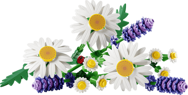 LEGO Botanicals Prästkragar 11508