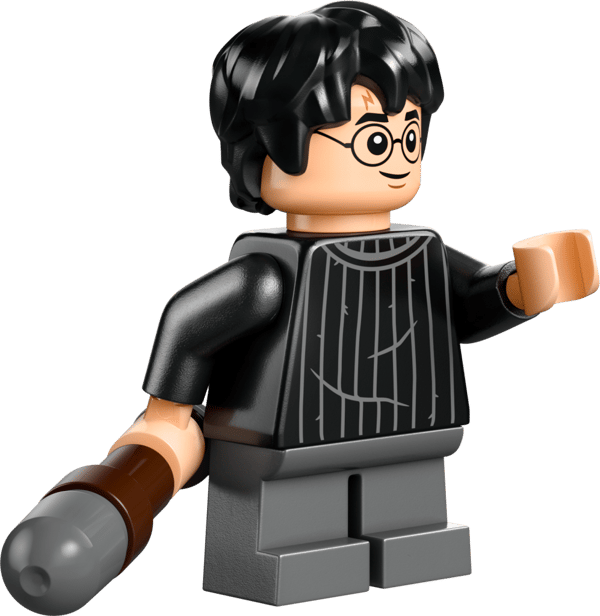 LEGO Harry Potter Quidditchlektion 30706