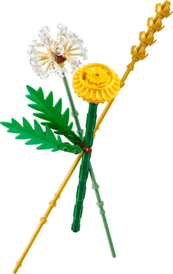 LEGO Botanicals Ängsblommor 30701