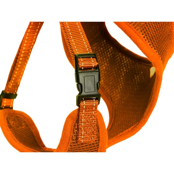 Meshsele Iris Orange