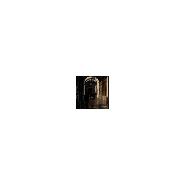 Fascination : black - blue - brown (häftad, eng)