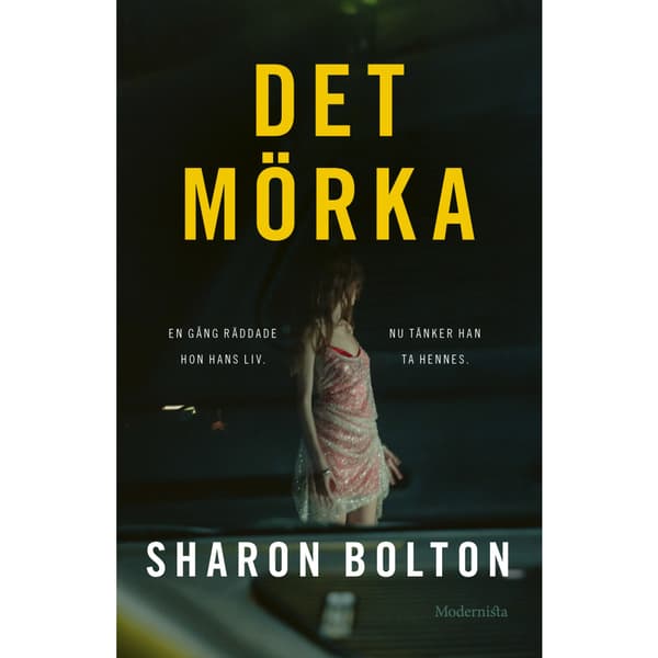 Det mörka (inbunden)