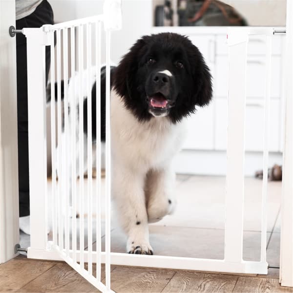 Lassie Hundgrind Vit