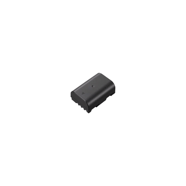 Panasonic Battery DMW-BLF19E