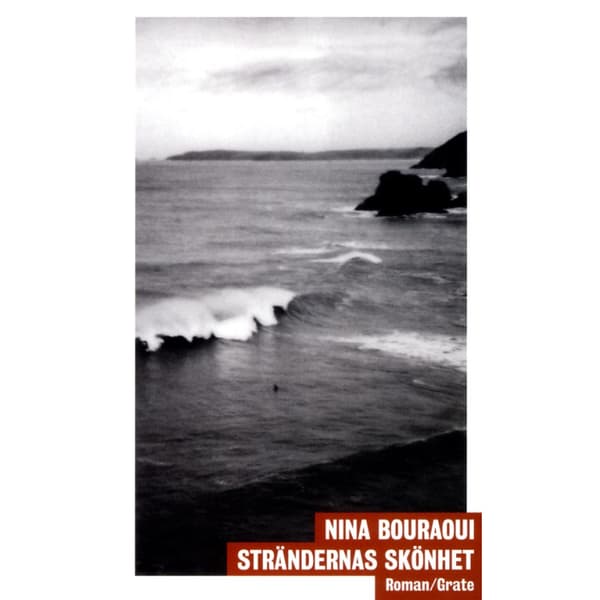 Strändernas skönhet (bok, danskt band)