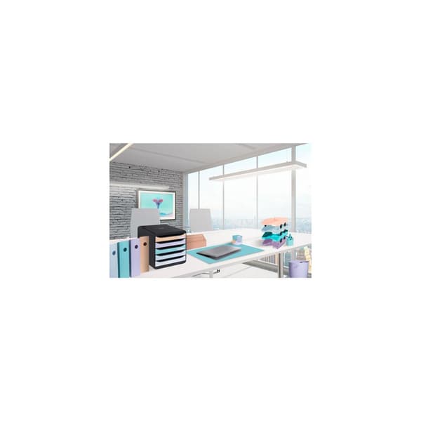 Blankettbox EXACOMPTA BIGBOX 4 låd paste