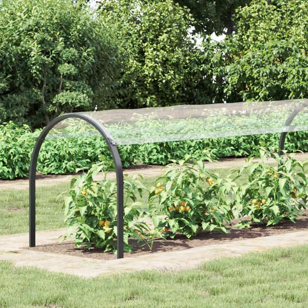 Tarpulin Transparent 1 x 12 m PVC