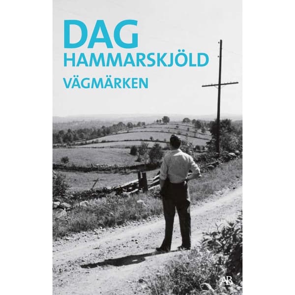 Vägmärken (bok, storpocket)