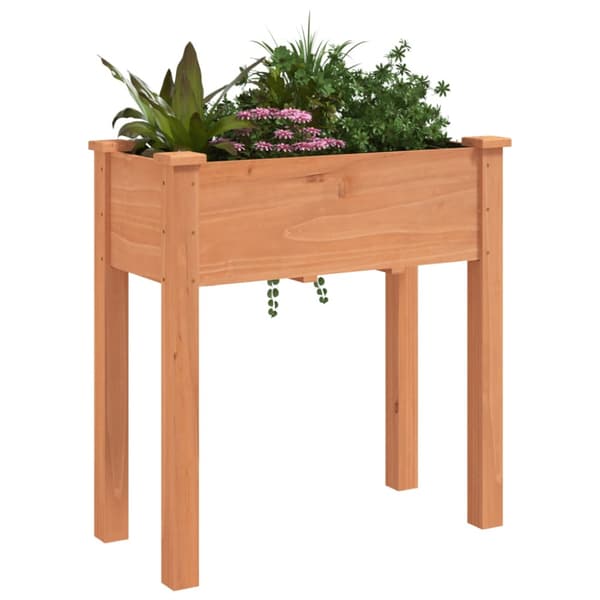Odlingslåda med foder brun 71x37x76 cm massivt granträ