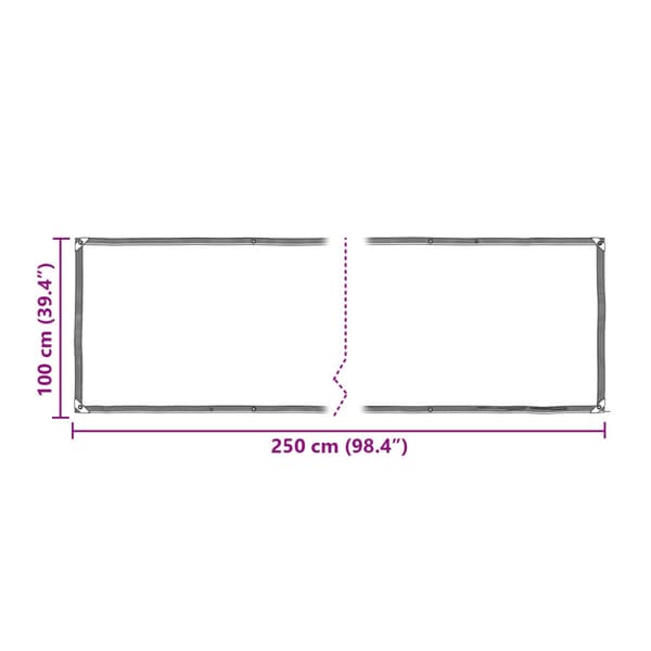Tarp Transparent 2,5 x 1 m PE