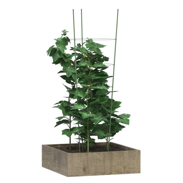 Växtstöd med 4 ringar 5 st grön 90 cm stål