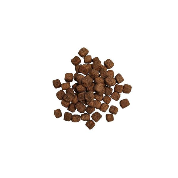 Senior spannmålsfritt hundfoder 3kg