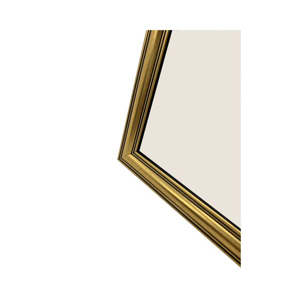 Focus Holly Gold 20x30