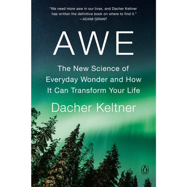 Awe (häftad, eng)