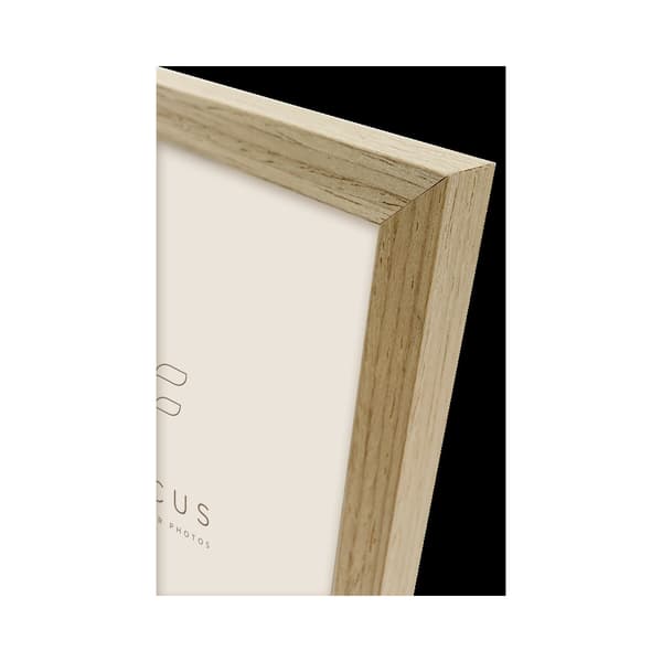 Focus Willow Oak 29,7X42 (A3)