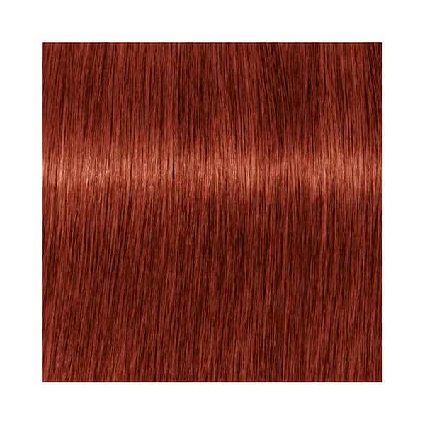 Professional Igora Vibrance Kit 7-88 Medium Blonde Red Extra