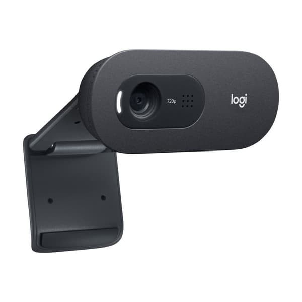 Logitech C505 - webbkamera
