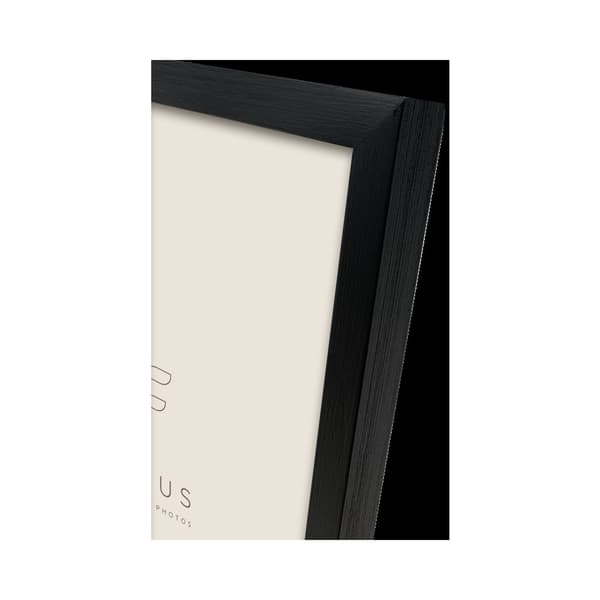 Focus Willow Black 29,7x42 (A3)