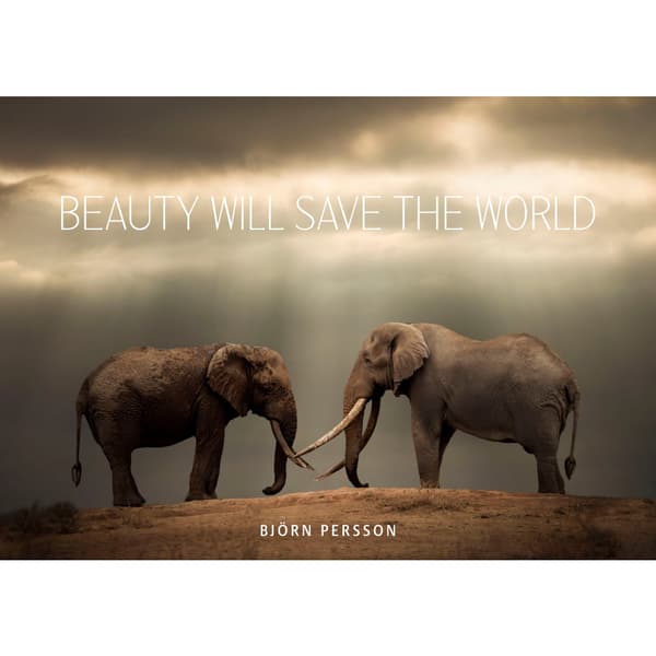 Beauty will save the world (inbunden, eng)