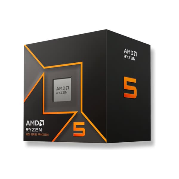 AMD Ryzen 5 9600 / 3.8 GHz processor - Box