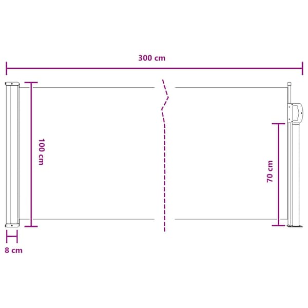 Utfällbar sidomarkis Svart 300 x 100 cm Polyester