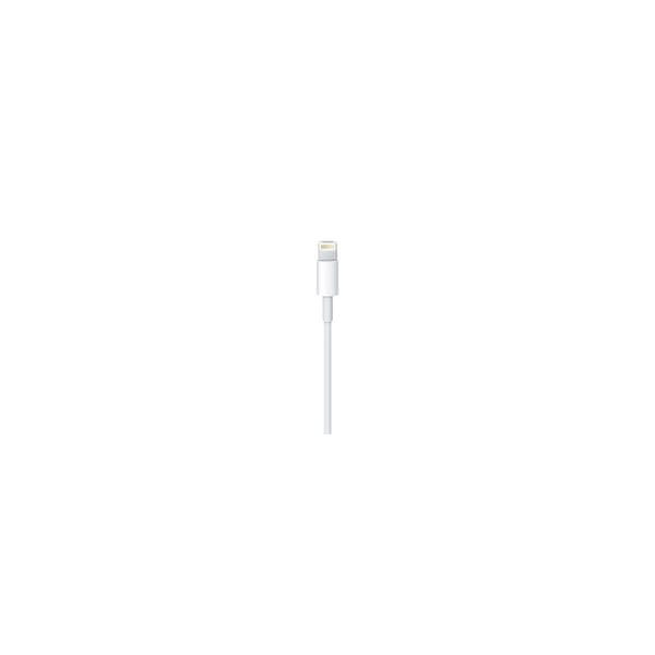Apple Lightning-kabel - Lightning / USB - 50 cm