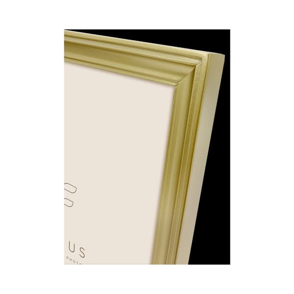 Focus Calla Gold 24x30