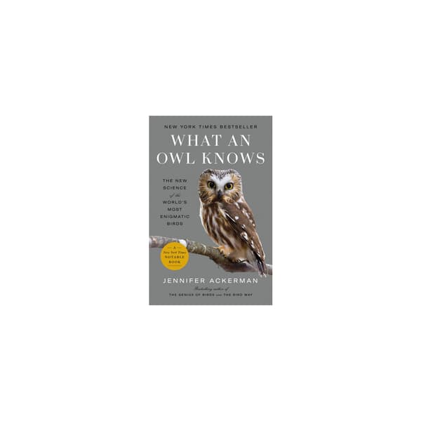 What an Owl Knows (pocket, eng)