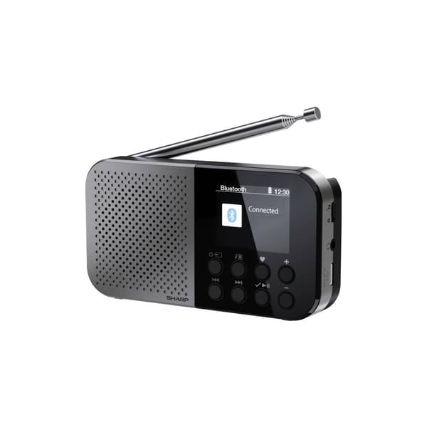 Sharp DR-P520, Personal, Digital, DAB, DAB+, FM, AAC, 5,08 (Öppnad)