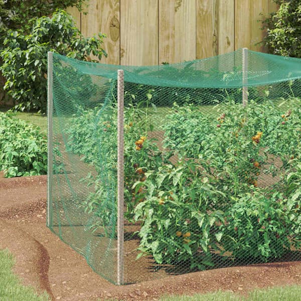 Fågel Skyddsnät Grön 2 x 5 m polyeten