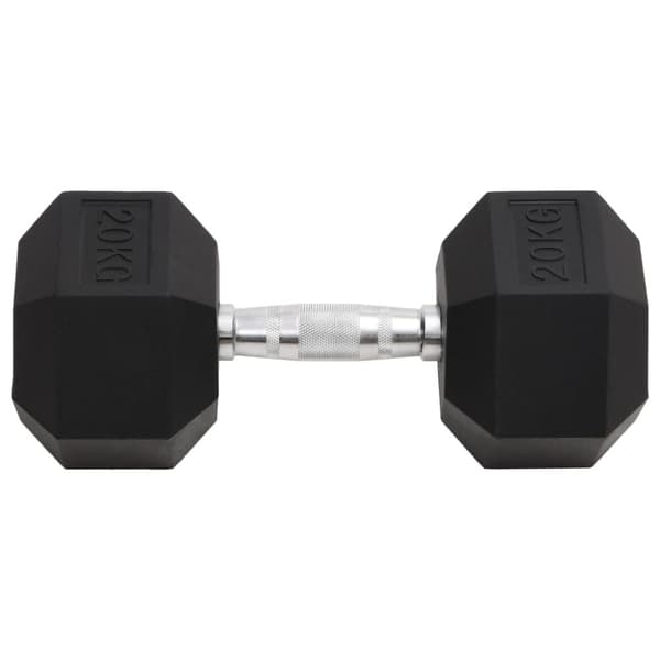 Hantel 20 kg gjutjärn