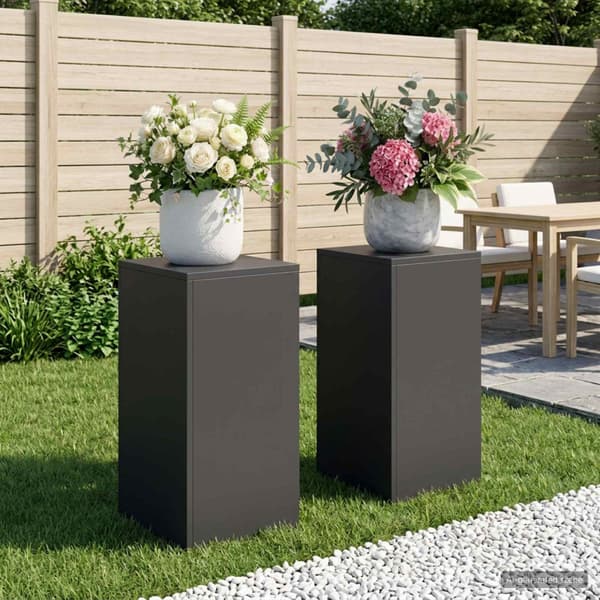 Växtställ 2 pcs Svart 30 x 30 x 60 cm Stål