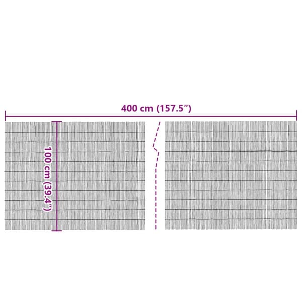 Insynsskydd 400x100 cm vass